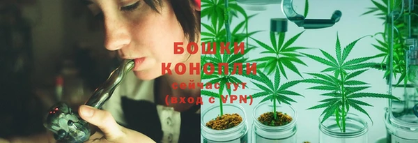 стаф Елабуга