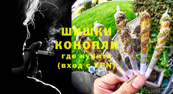 сатива Ельня