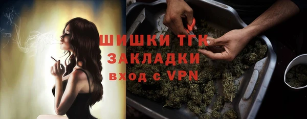 сатива Ельня