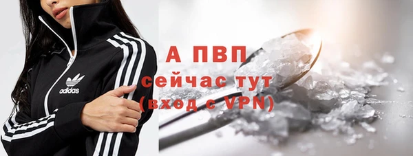 стаф Елабуга
