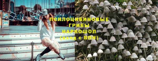сатива Ельня