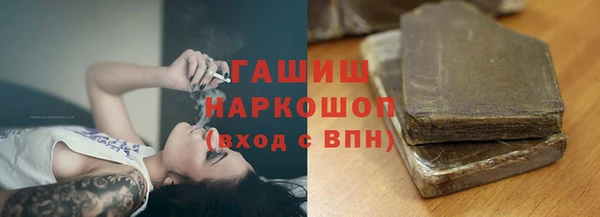 сатива Ельня