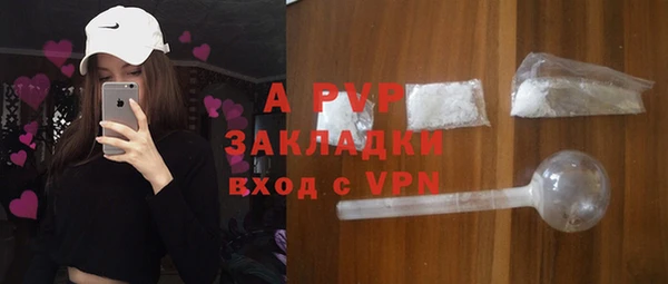 стаф Елабуга