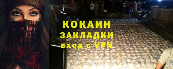 сатива Ельня