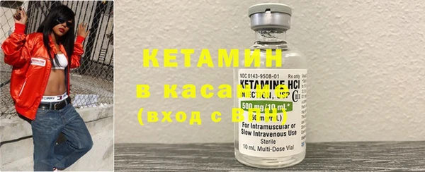 сатива Ельня