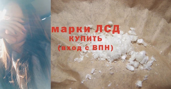 сатива Ельня