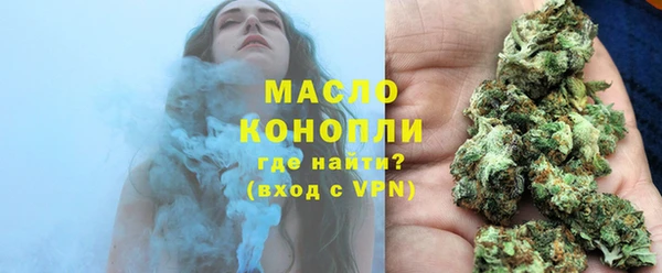 сатива Ельня