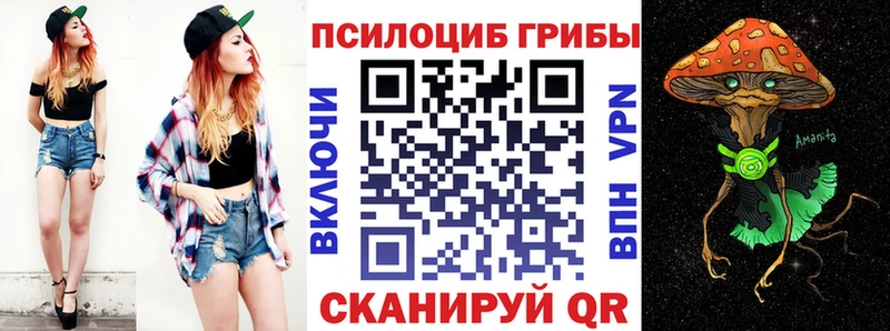 Псилоцибиновые грибы MAGIC MUSHROOMS  сайты даркнета клад  Верхний Тагил 